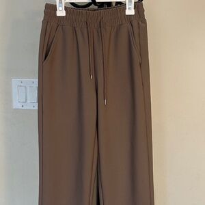Fleece Lined Wrinkle Free Sheen Pull On Pants 2 Deep Pockets